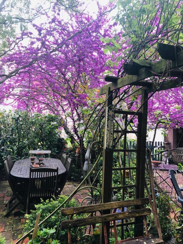 Maison D'Hotes "Les Volets Verts" Et Sa Brocante Ecueille Buitenkant foto